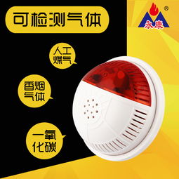 永康牌電化學(xué)一氧化碳煤氣co泄漏報(bào)警器產(chǎn)品圖片高清大圖